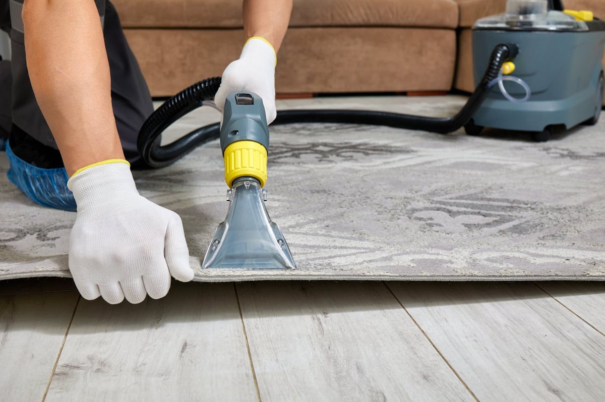 Professional carpet cleaning in a bright living room
